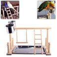 IY24974-Oiseau perchoir oiseaux stand Aire de jeux Jouer Parrot Support Bois Gym Ladder Hanging Balançoire-2