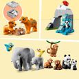 LEGO 10974 DUPLO Animaux Sauvages d’Asie, Jouet Tapis de Jeu, avec Figurines Éléphants et Tigres, pour Enfants de 2 à 5 Ans-3