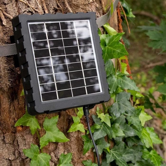 Panneau Solaire pour Caéra de sécurité, 5 V 4 W icro USB et Port USB