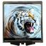 Miroir De Poche Carre Chat Sauvage Nature Lion Tigre Y B Achat Vente Miroir De Poche Miroir De Poche Carre Y B Cdiscount Miroir De Poche Carre Chat Sauvage Nature Lion Tigre Y B Achat Vente Miroir De Poche Miroir De Poche Carre Y B Cdiscount