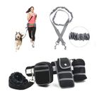 Laisse pour Chien - EPE TOP - Mains-libres - Nylon - 144 cm - Couleur Noir
