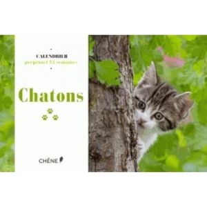 Calendrier Perpetuel Chat Achat Vente Pas Cher