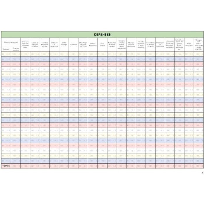 Journal Recettes Dépenses des Professions Libérales 30 x 42 cm - 81 pages en couleurs pour reposer la vue