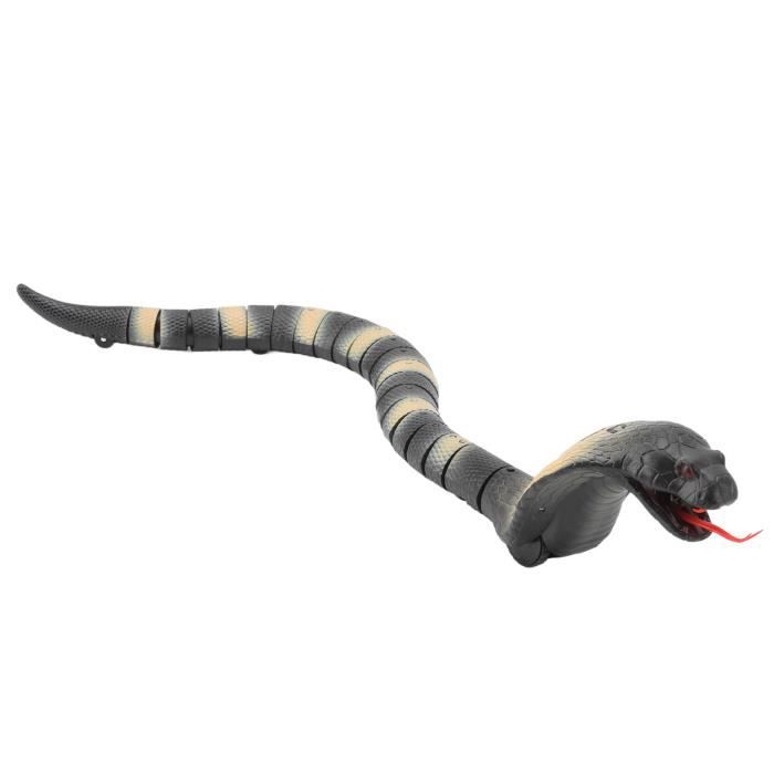 https://www.cdiscount.com/pdt2/9/7/5/1/700x700/ako1689192589975/rw/jouet-serpent-rc-jouet-de-serpent-telecommande-pou.jpg