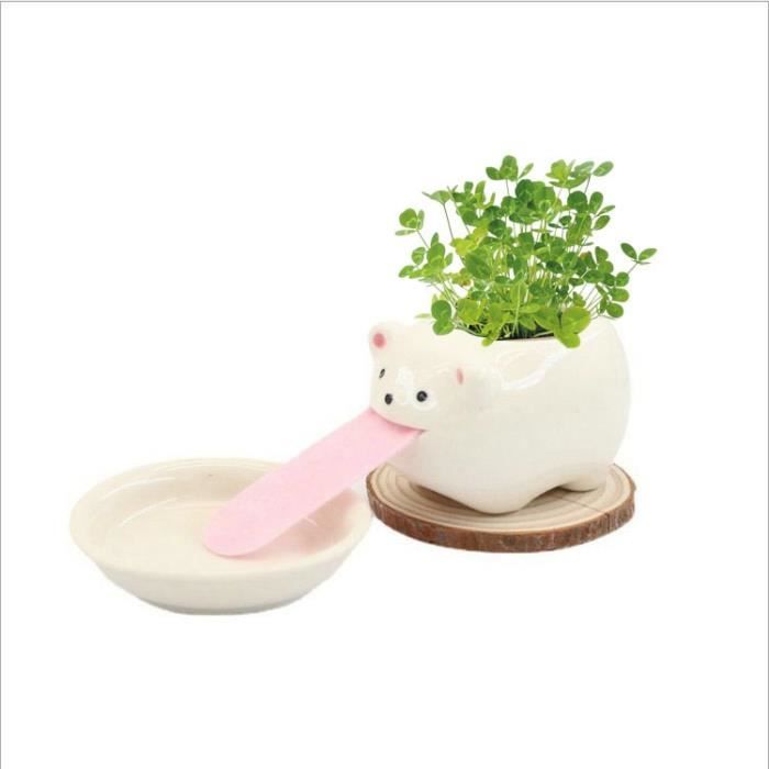 Petit Pot De Fleurs En Ceramique Mignon Singe Dessin Anime Plantes Succulentes Bonsai Cactus Jardin De Cdiscount Jardin
