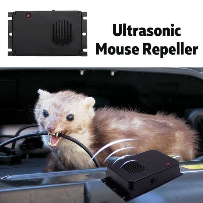 Fusibles,Répulsif pour rats et souris, Version améliorée, sous le capot,  répulsif ultrasonique pour voiture - Cdiscount Auto