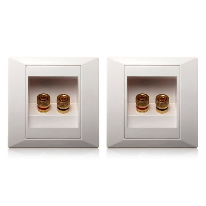 PyleHome PHIW71 Prise Murale avec 14 fiches Bananes et 2 Prises pour Caisson de Basses Dual RCA pour Home cinéma 7.1 Blanc 