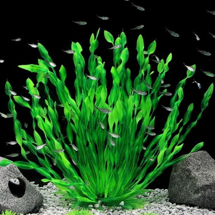 Comparer les prix de Décoration d'aquarium Aspect réaliste des plantes d'aquarium abri de cachette de poisson jonc de mer artificiel en plastique vert M