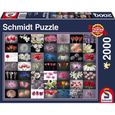Puzzle Adulte Pensée Fleurie - Schmidt Spiele - 2000 Pièces - Paysage et nature-1