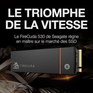 Seagate FireCuda 530 – Disque dur SSD interne de 2 To, M.2 PCIe Gen4 × 4 NVMe 1.4, PS5 SSD, 3D TLC NAND, 2550 TBW, 1,8 M MTBF, dissipateur thermique, services de secours (ZP2000GM3A023