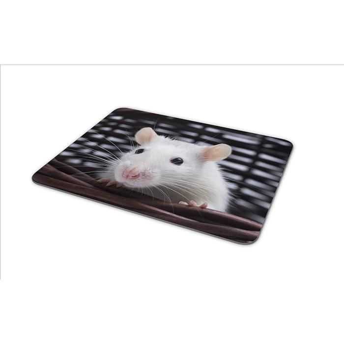 Adorable tapis de souris Rat blanc tapis de souris Animal mignon