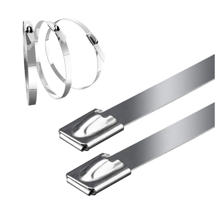 INF Attaches de câble en acier inoxydable, paquet de 20 Argent 200 mm