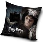 CARBOTEX Housse de coussin - Harry Potter - Visage Harry - 40x40 cm - Multicolore - Synthétique