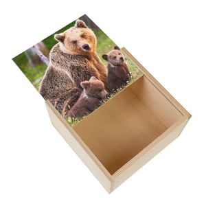 Boîte cadeau Boite Coffret en Bois - Famille d'Ours Ourson Maman Ours Photo Animaux Sauvages  (11 x 11 x 3,5 cm)