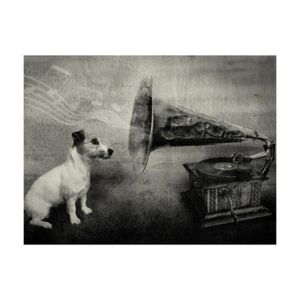 Nappes papiers peints photos papier peint poster chiens de berger chien Herbe Animal Nature 3fx11373ve