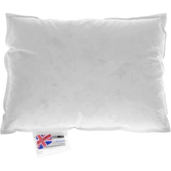 HOMESCAPES Lot De 2 Coussinets Duvet & Plumes D'Oie 40x40 Cm - Garnissage Naturel 100% Coton RDS - Ultra Moelleux Pour Housses Déco