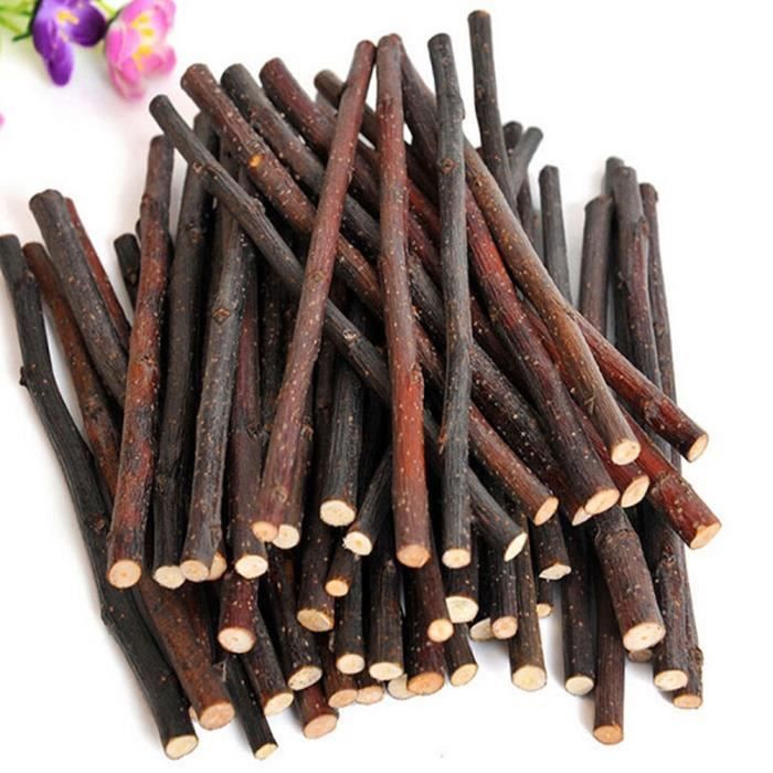 Bâtonnets à mâcher en bois naturel Brindilles pour petits animaux domestiques Jouet pour cochon d'Inde Hamster Lapin