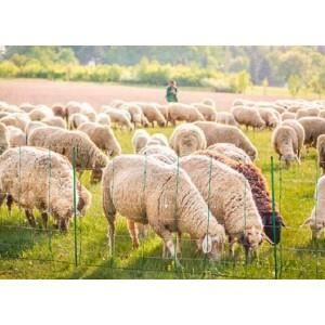 filet cloture DOUBLE POINTE électrifiable 50mètres - hauteur 90cm pour mouton ,ovin