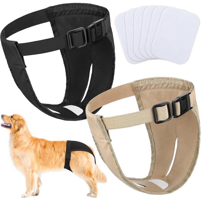 Couches menstruelles pour chien - ESTAMPILLE - Paquet de 2 - XL - Noir Kaki - Ajustable