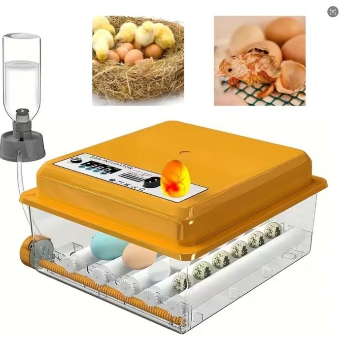 Couveuse Oeuf Automatique 36 œufs  Incubateur Tournage automatique des œufs programmable arrêt automatique