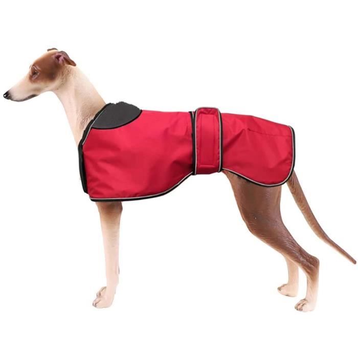 manteau whippet