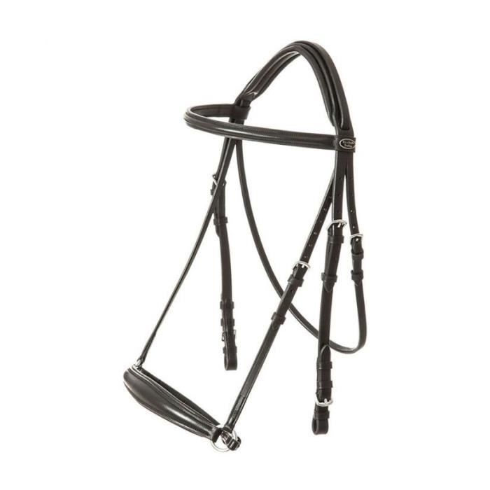 Meilleurs Supports De Dos Pour L'équitation - Horse Life