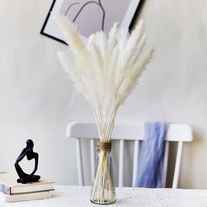 30 Herbes De La Pampa Séchées 40cm - Décoration Bohème Naturelle