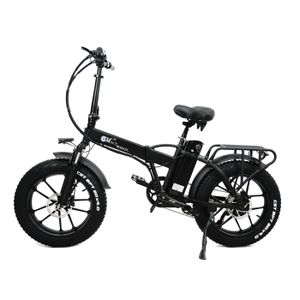 VÉLO ASSISTANCE ÉLEC Vélo électrique CMACEWHEEL GW20 Noir 750W 20