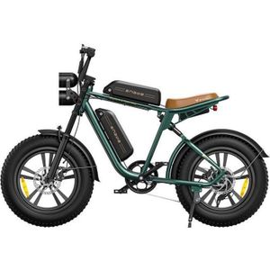 VÉLO ASSISTANCE ÉLEC velo electrique adulte ENGWE M20 autonomie 150km t