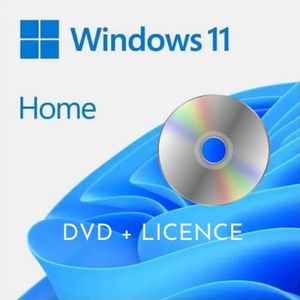 SYSTÈME D'EXPLOITATION DVD Windows 11 Famille 64 bits