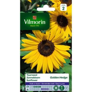 GRAINE - SEMENCE Graine - VILMORIN - Tournesol Golden Hedge - Flora