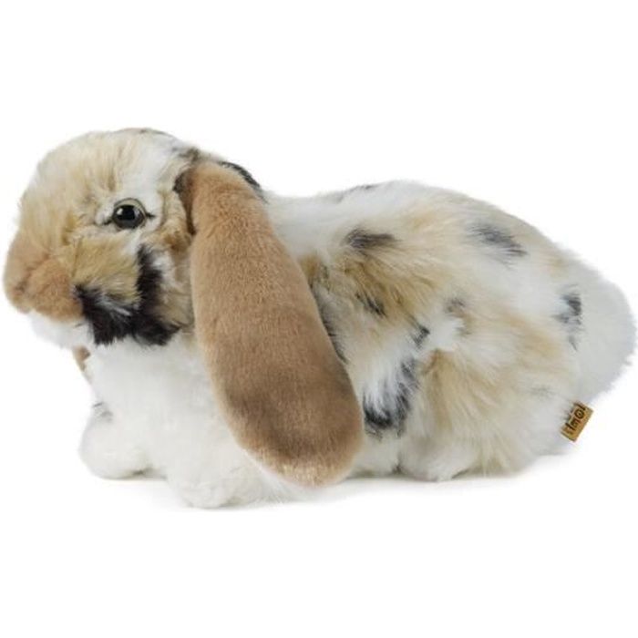 Lapin Bélier Brun