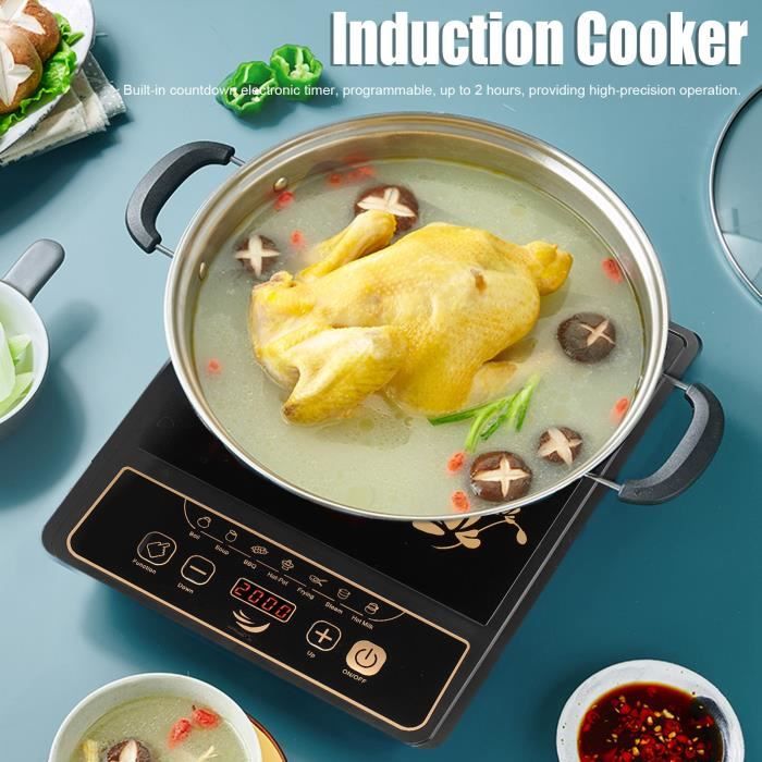 Cuisinière Plaque à Induction Table de Cuisson Électrique Portable avec Compte à Rebours Minuterie 2000W(EU 220V 2000W 7 En Stock