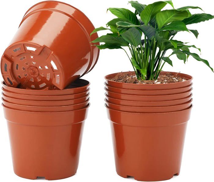 KINGLAKE 32 Pots De Semis Avec Couvercles - 10cm - Lot Avec Étiquettes - Pour Semis, Herbes, Succulentes