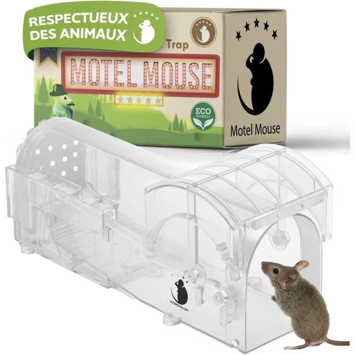 Motel Mouse Piège a Souris Vivante Pour Intérieur & Extérieur - Facile À  Utilise 313098899846