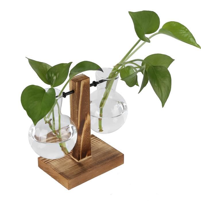2 pièces support de plante hydroponique Vase en verre transparent vase 2 pièces support de plante hydroponique Vase en verre transparent vase