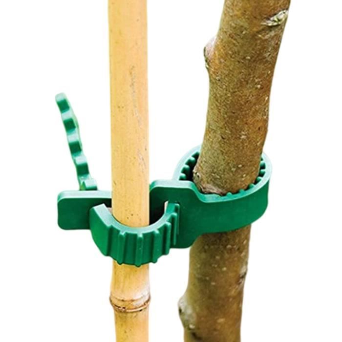 Attaches D'Arbre YSJCHEBS - Lot De 8 - PVC 30cm - Pour Jardin, Stabilisation Plants