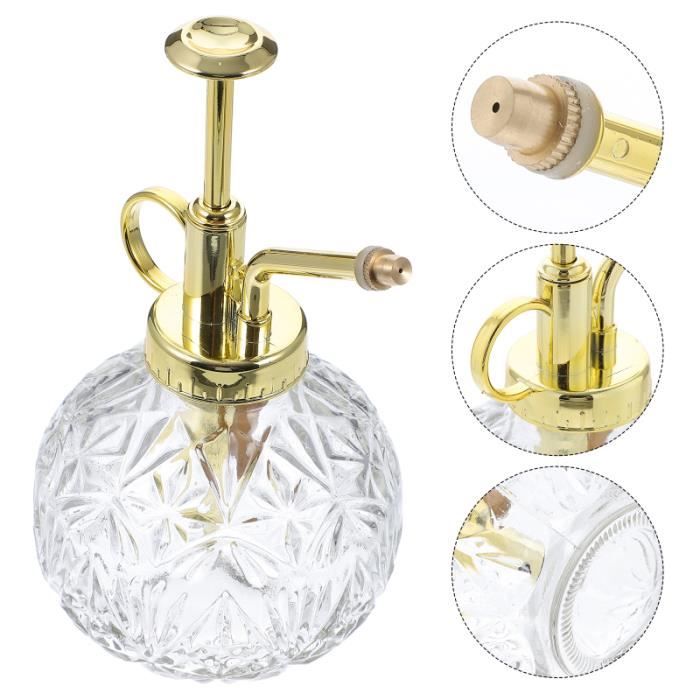 Arrosage en Verre Peut Planter Mister Garden Plante Flower Arrosserie