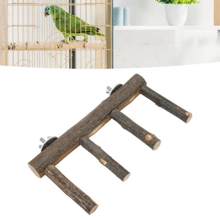 Perchoir Portable Pour Fauconnerie - Bois - Hauteur 6 Pouces - Neuf