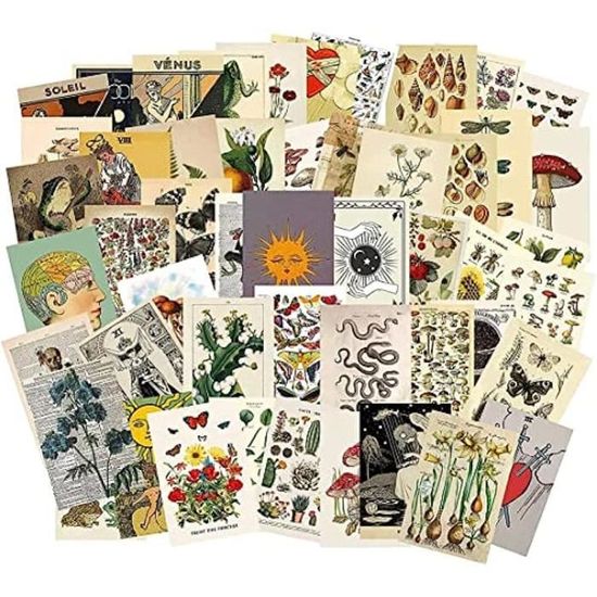 Art Mural Esthétique Pour Chambre 50 Kit De Collage Mural Beige Vintage Esthétique - Ensemble De Photo Poster Toile Pacte Des Loups