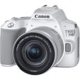 CANON EOS 250D + EF-S 18-55 IS STM - Appareil photo numérique - Blanc & Silver-0