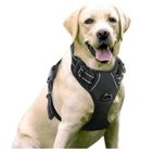 Harnais Chien - HANDEIU - Anti Traction - Réfléchissant - Réglable - Taille L (18-23kg)