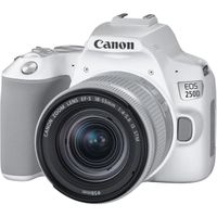 CANON EOS 250D + EF-S 18-55 IS STM - Appareil photo numérique - Blanc & Silver