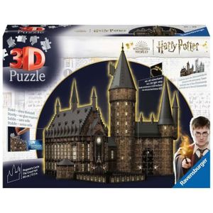 Puzzle 3d harry potter chateau poudlard 197 pieces 