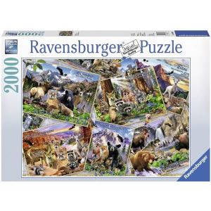 Ravensburger 14811 Danse des dauphins 500 Pièces Puzzle