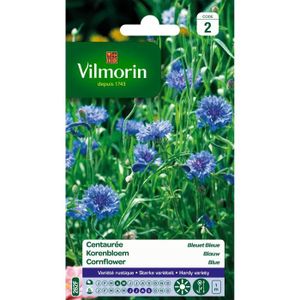 GRAINE - SEMENCE VILMORIN Centaurée bleuet double bleue