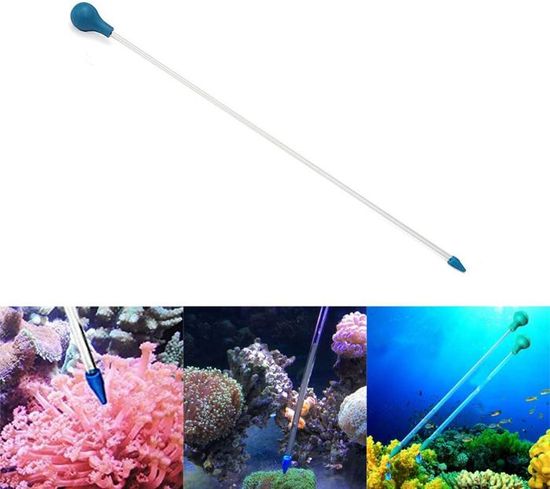 Autocollant Fond D'aquarium Sous-marin - Motif Corail Et Poissons - Taille 61x41cm - PVC étanche