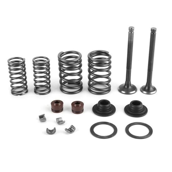 Lot De 12 Ressorts De Soupape Manganèse 65 - Haute Dureté, Pour Moteur Automobile R175A