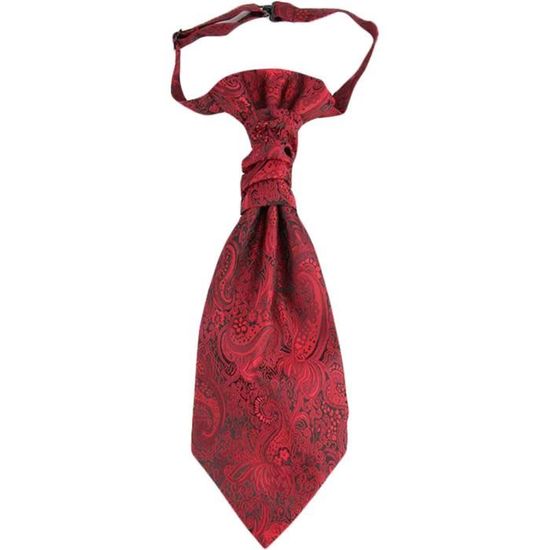 Cravate Homme Ascot Tie Plastron De Mariage Pré-Nouée Réglable - Motif