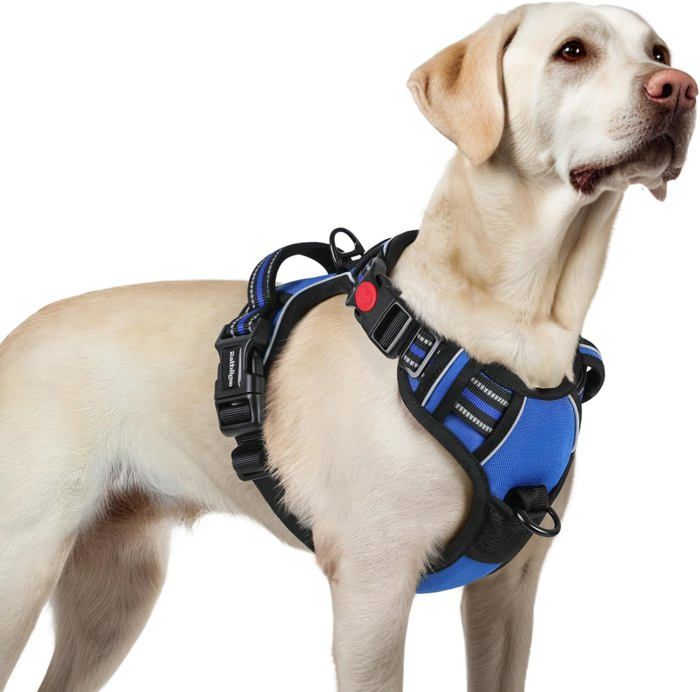 Comparer les prix de rabbitgoo Harnais Chien Anti Traction avec 3 boucles pour Chien Facile à Mettre Harnais Réfléchissant Réglable pour Chien Bleu L